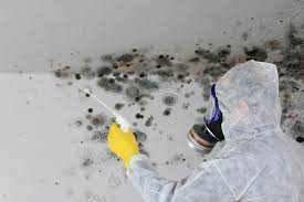 Mold Removal for HVAC Installations in Pleasant Hill, MS